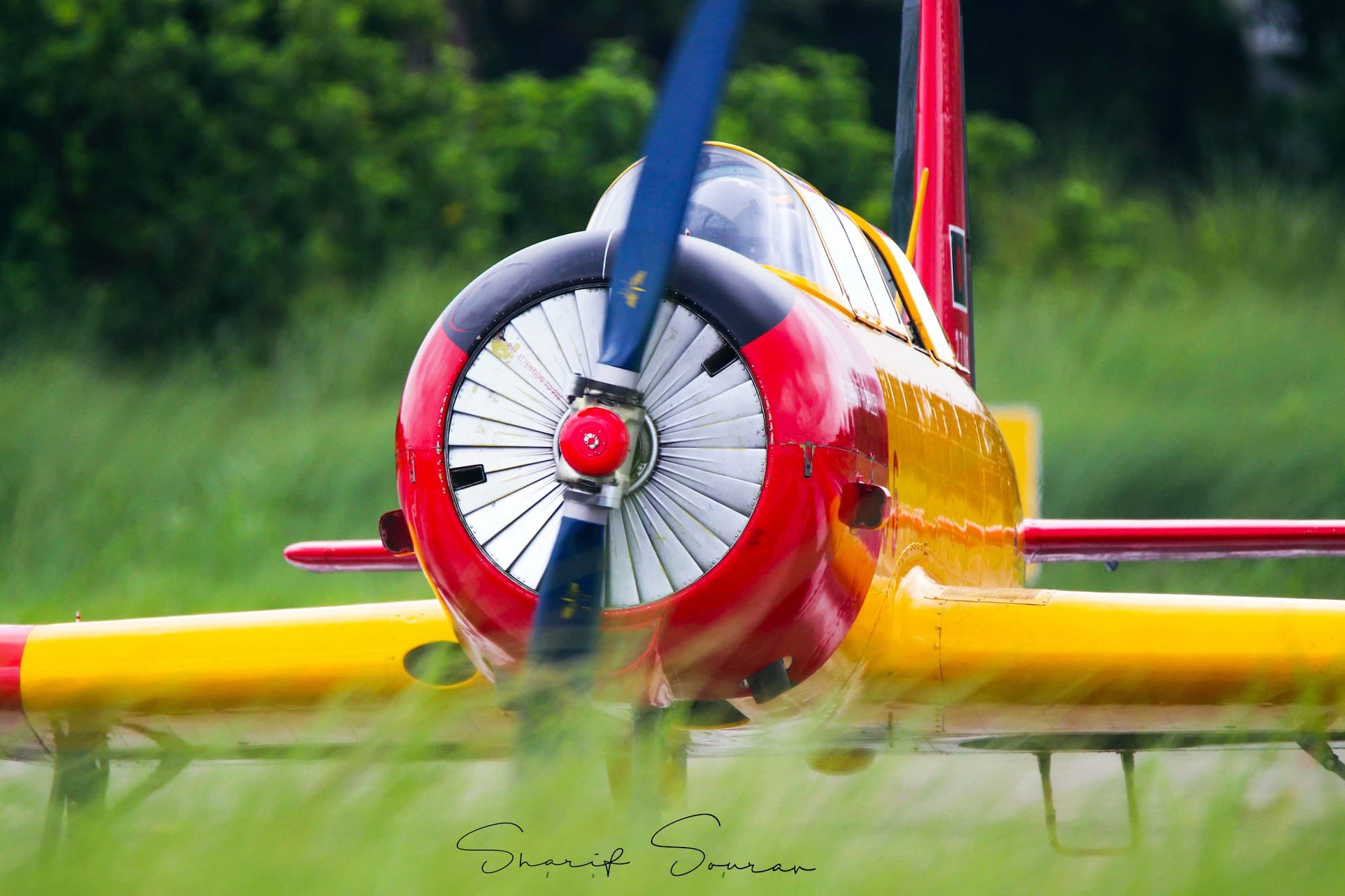 Close shoot PT-6.jpg