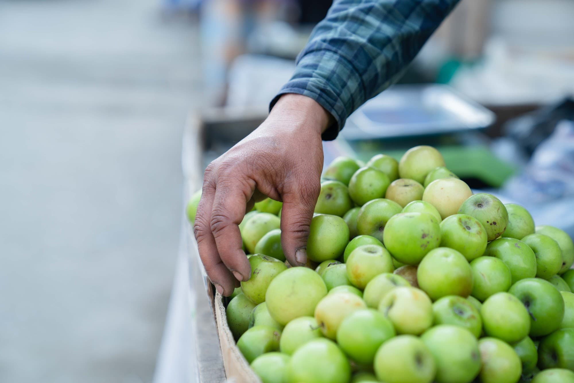 DSC08660.jpg