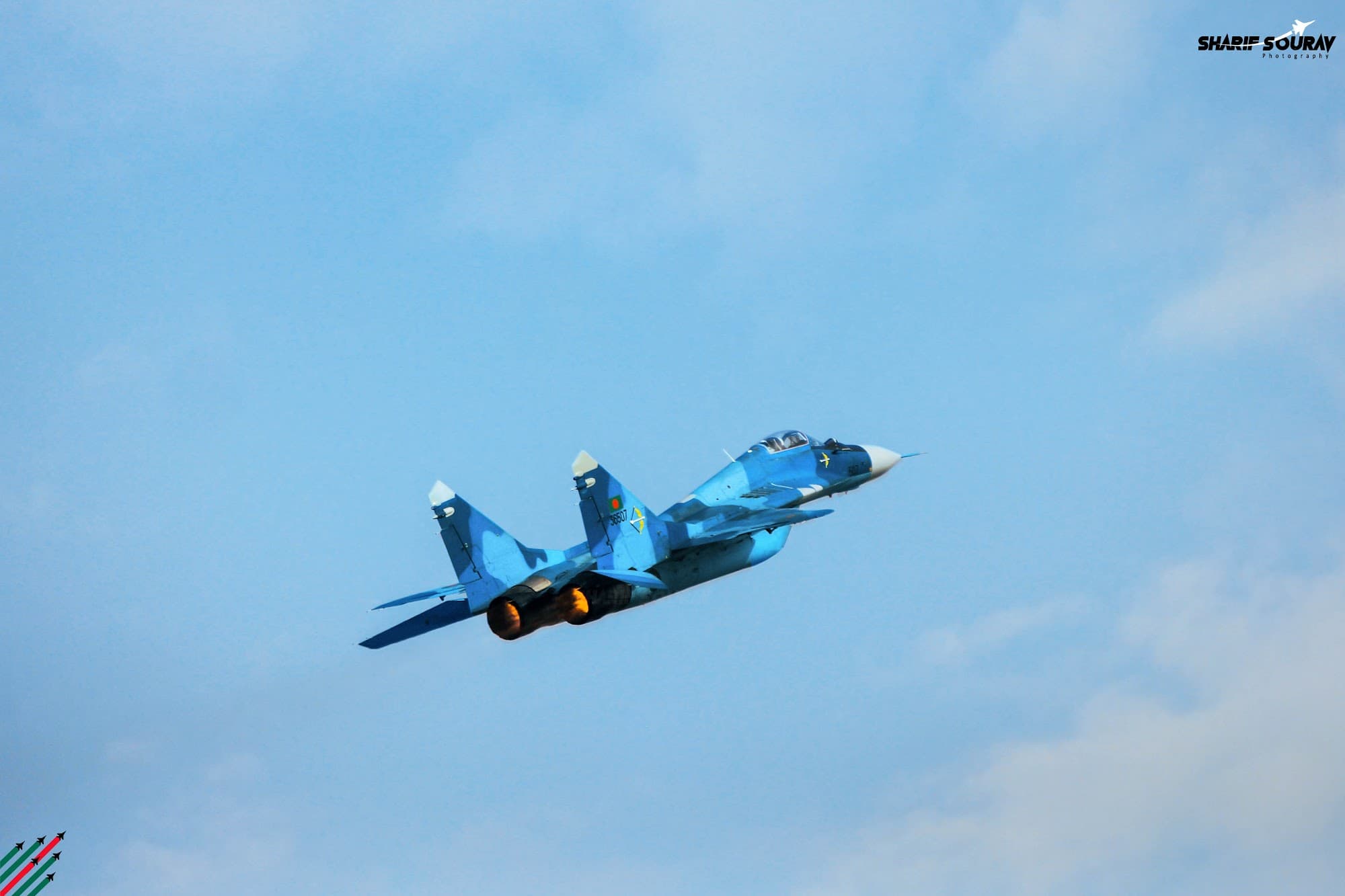 IMG_9615 copy 2.jpg